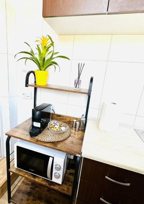Appartamento Cozy 1br Apartment•central•quiet Bucarest